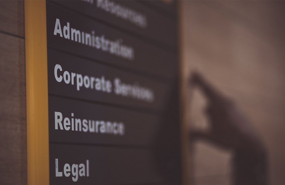 Signparrot Premier Sign Company in Tampa Signage Solution